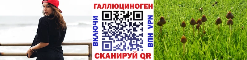 где продают   Туапсе  darknet Telegram  Псилоцибиновые грибы Magic Shrooms  мега рабочий сайт 