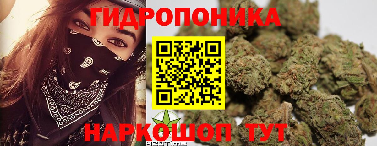 Бошки Шишки Bruce Banner Туапсе